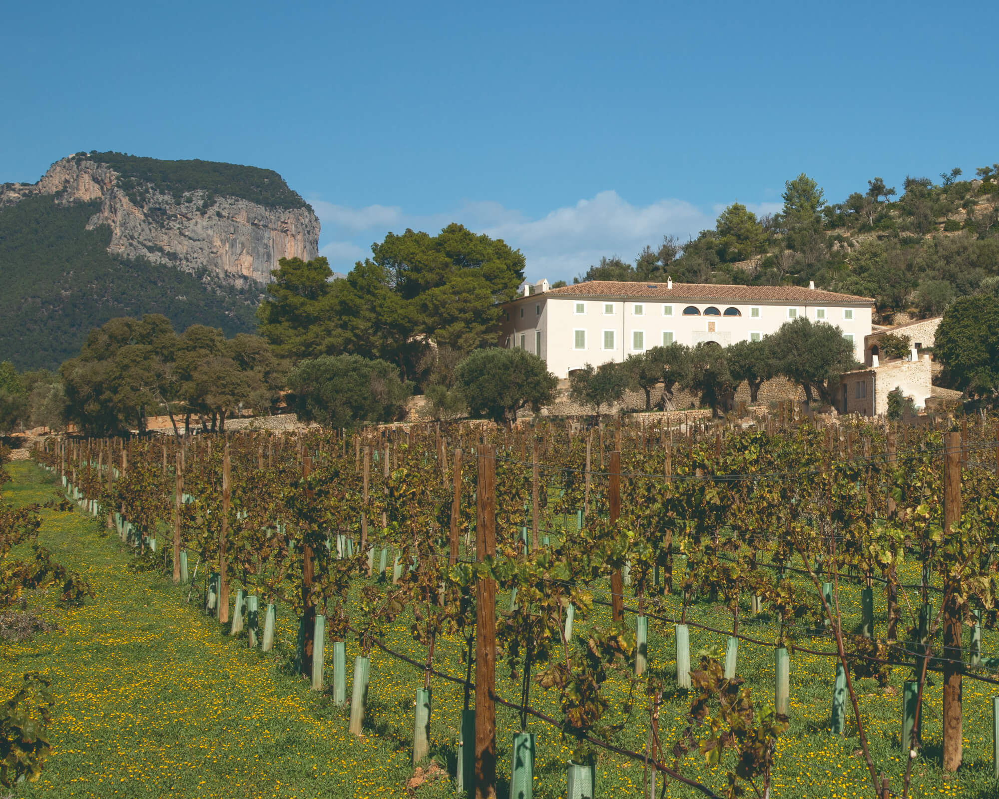 Finca Banyols Mallorca historic estate surrounded by olive groves in the Serra de Tramuntana, luxury family hotel in Mallorca opening in 2026