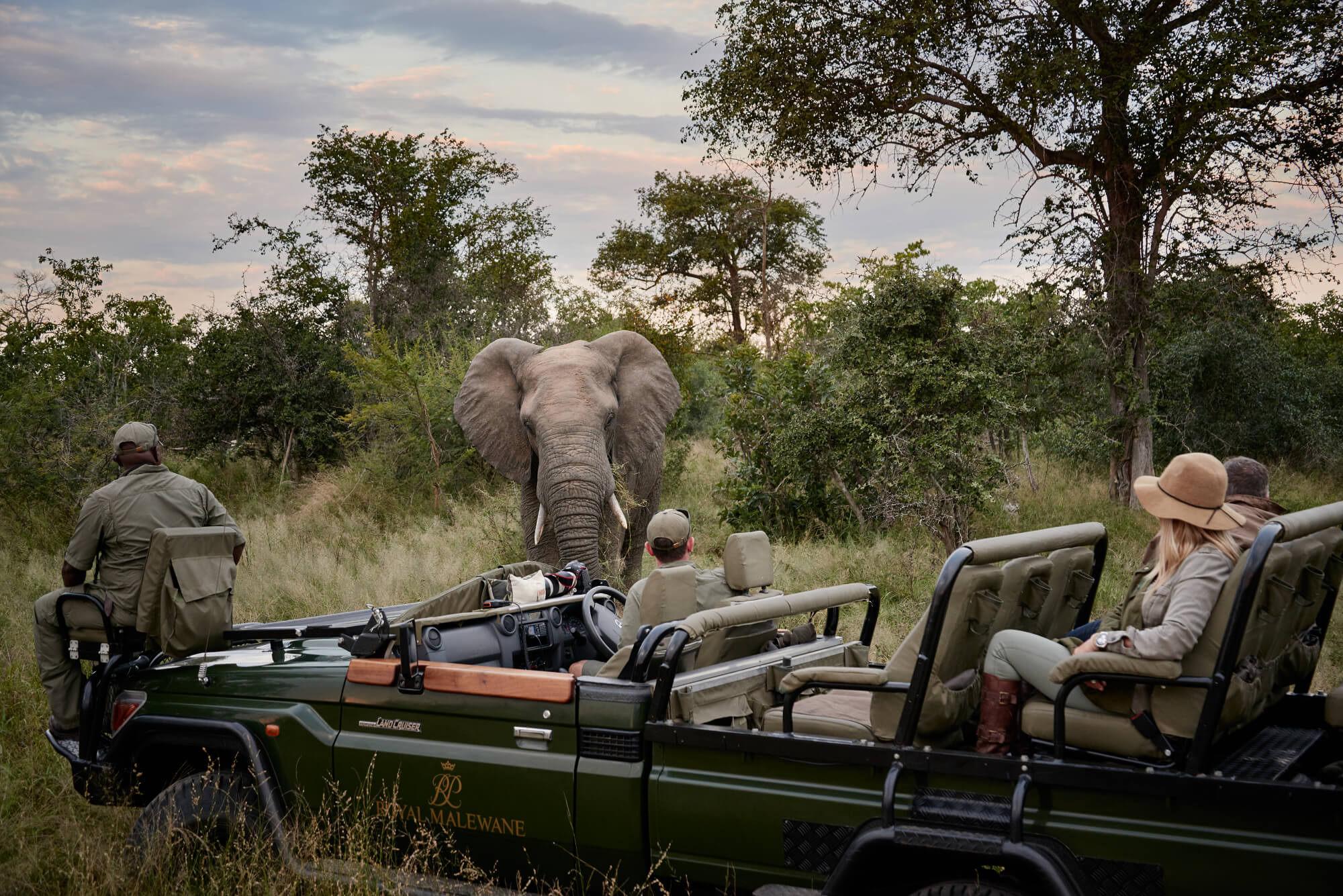 Royal Malewane Royal Portfolio luxury safari lodge collection in Greater Kruger National Park South Africa coming soon